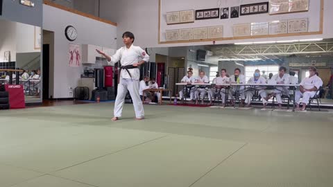 Black Belt - 3 A