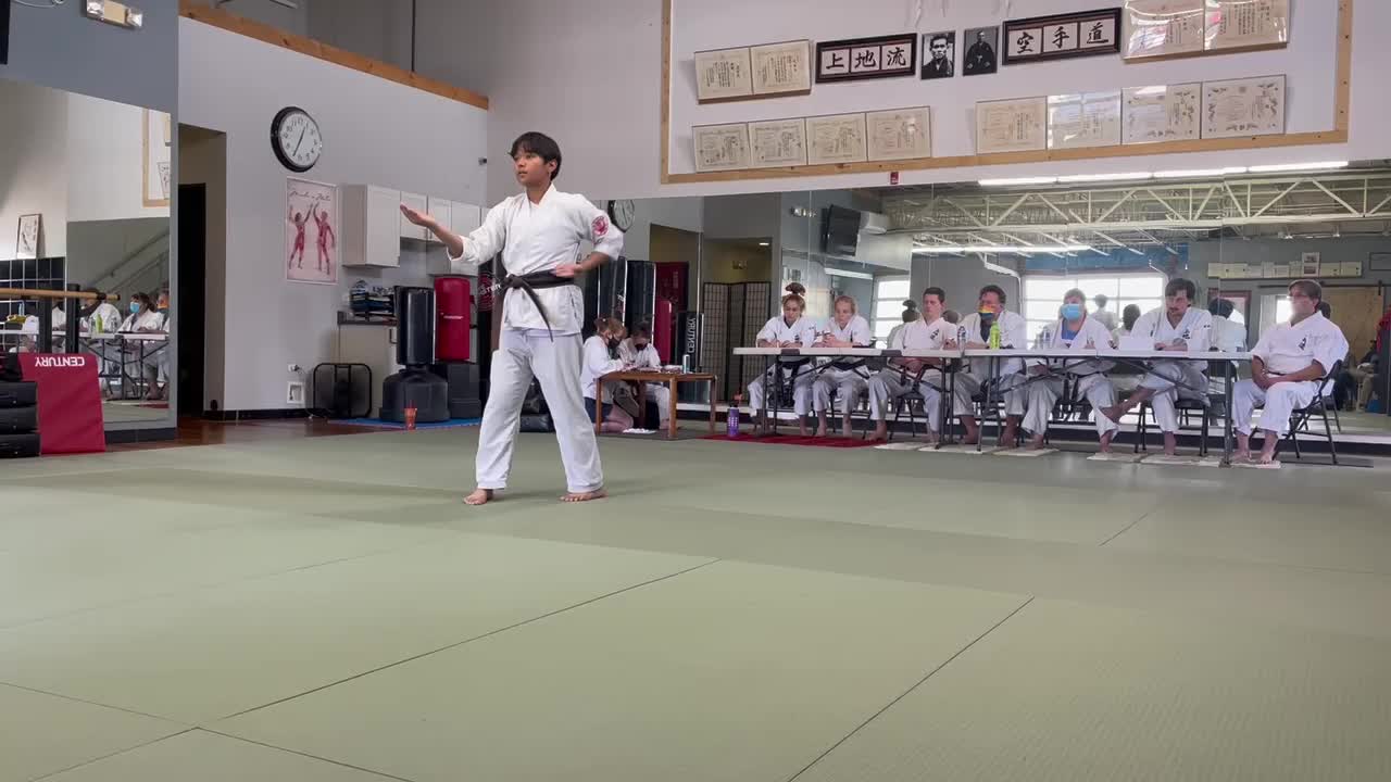 Black Belt - 3 A