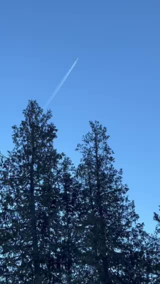 Pretty excellent shot !