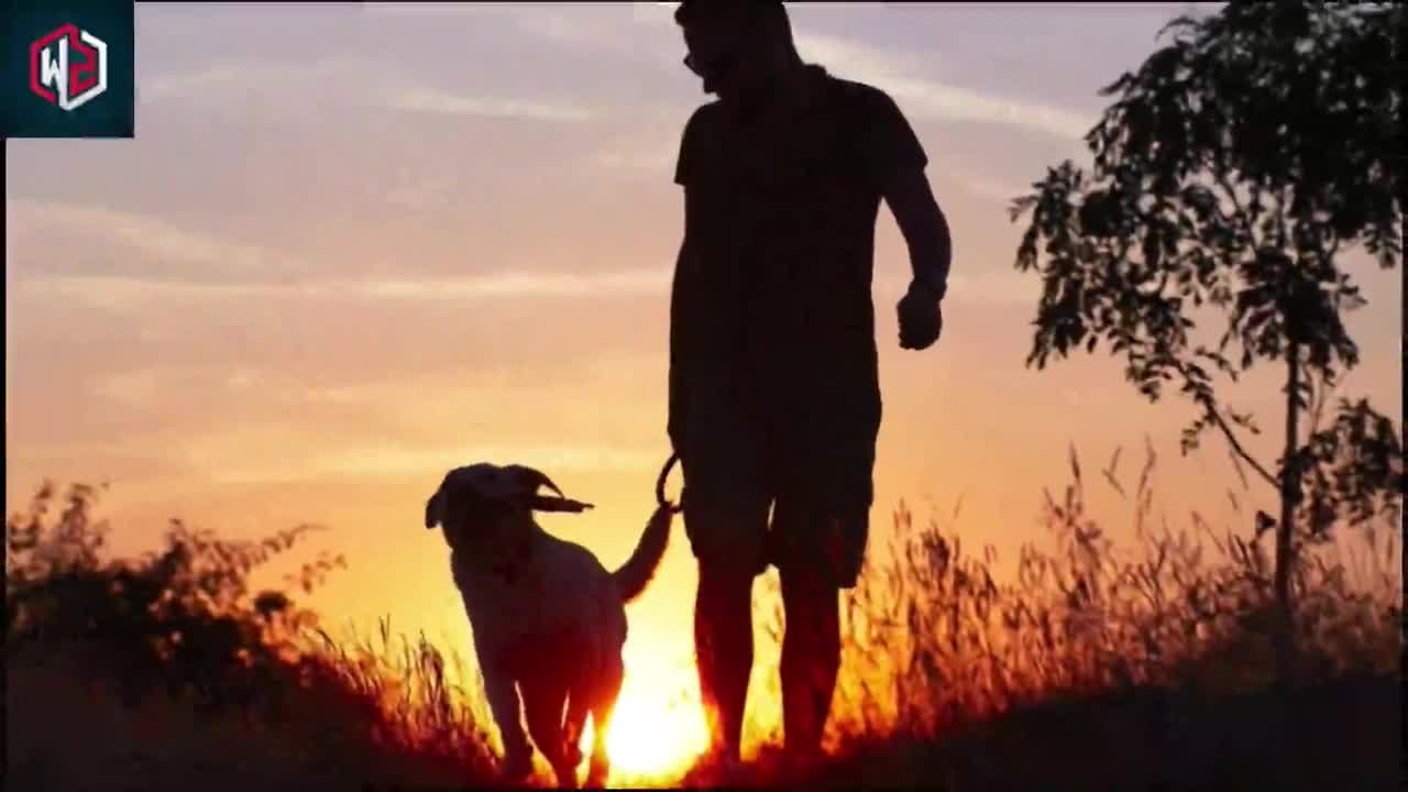 3 Hours of Amazing Nature Scenery & Relaxing Music for Stress Relief.