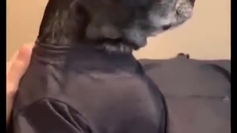 My dog does not think that's funny😂