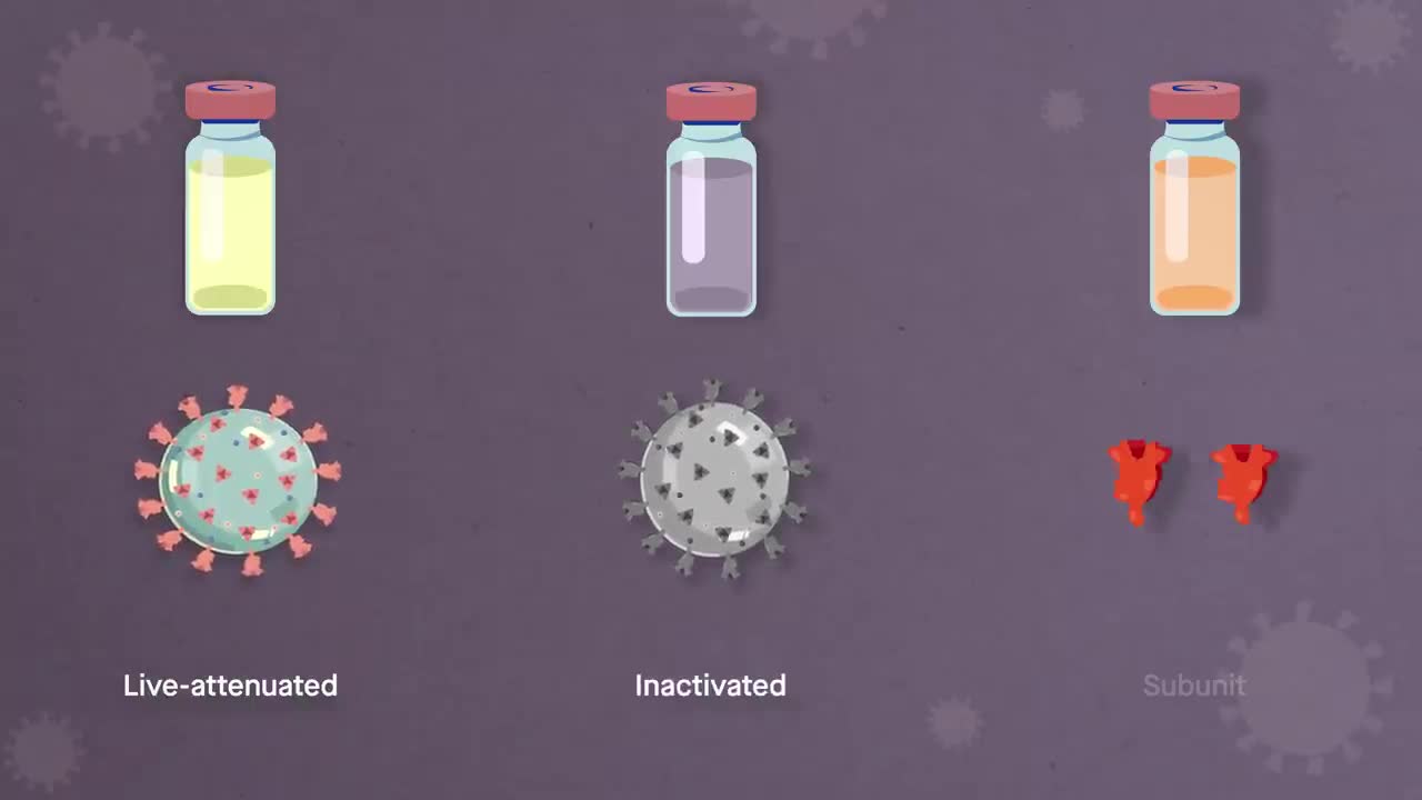 Simplified How vaccines work against COVID-19