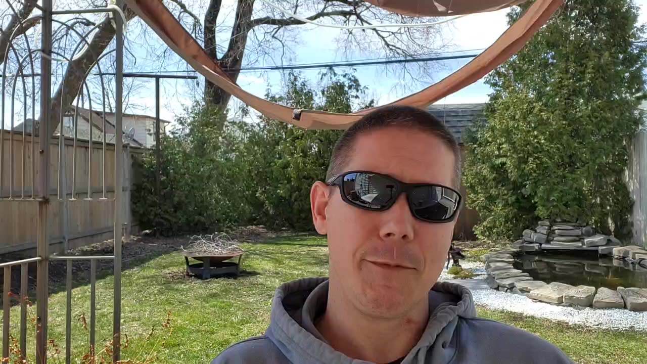 Backyard chillin 😎