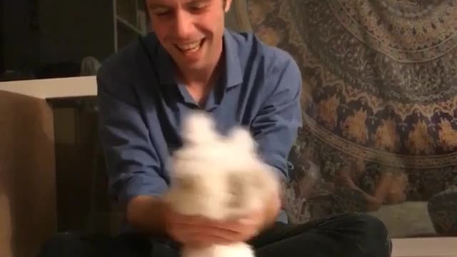 Music guy in blue shirt making white bunny dance