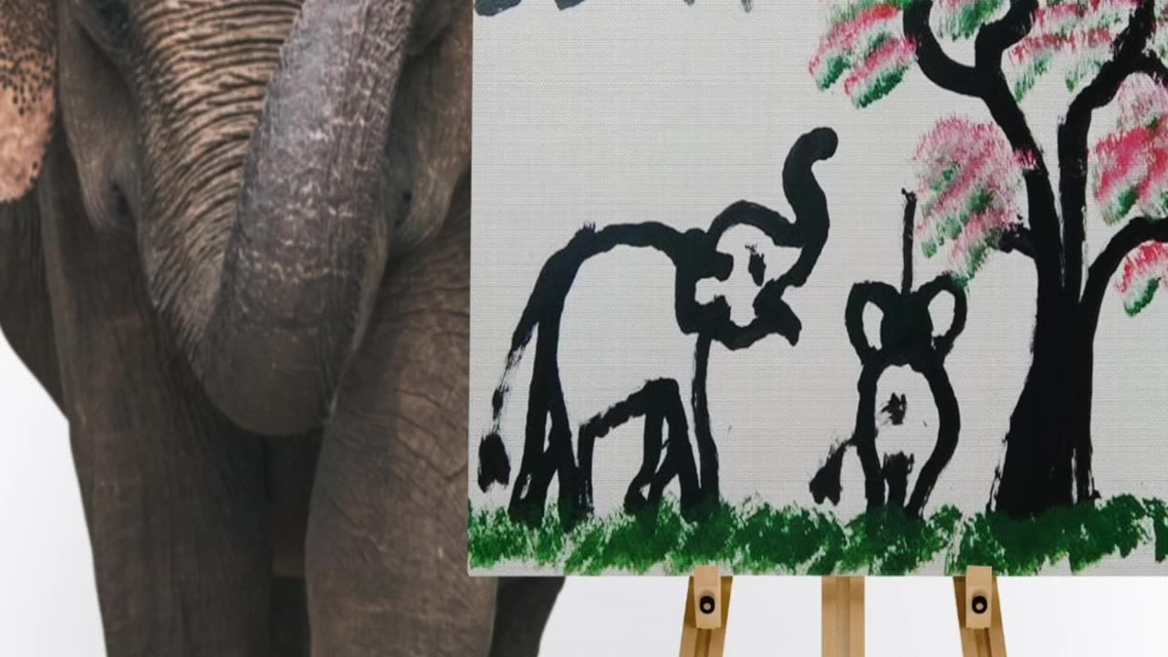 elephant is painting