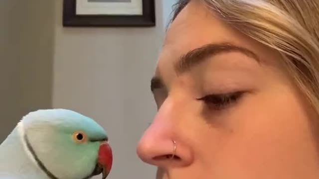 Don’t say anything to your bird and see what he does