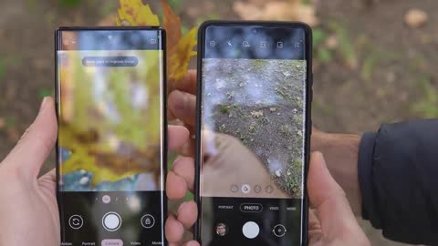 Pixel 6 Pro vs iPhone 13 Pro Max vs Galaxy S21 Ultra Camera Comparison