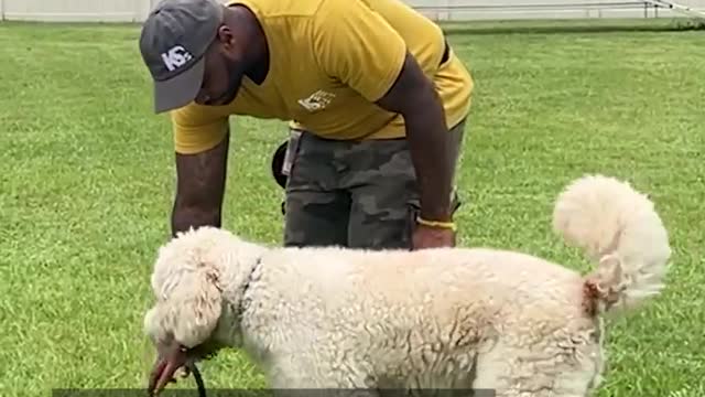 This program helps people who are incarcerated become service dog training