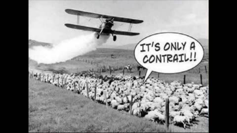 Memes Tues March 26, 2024