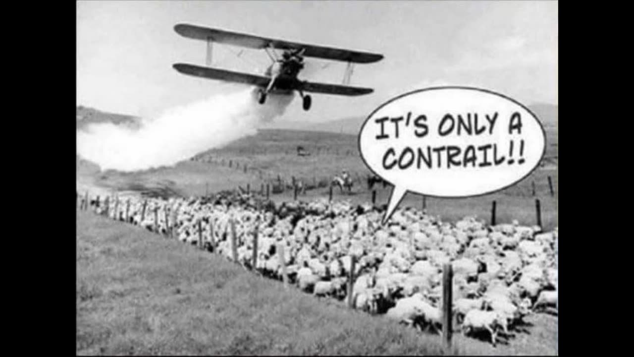 Memes Tues March 26, 2024