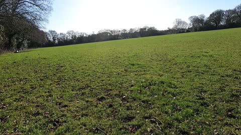 Frankenbury - the largest Iron Age hillfort in the New Forest.. let's find a way in.