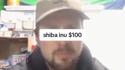 THIS CRYPTO WILL 100X. be ready. subscribe to the best crypto channel