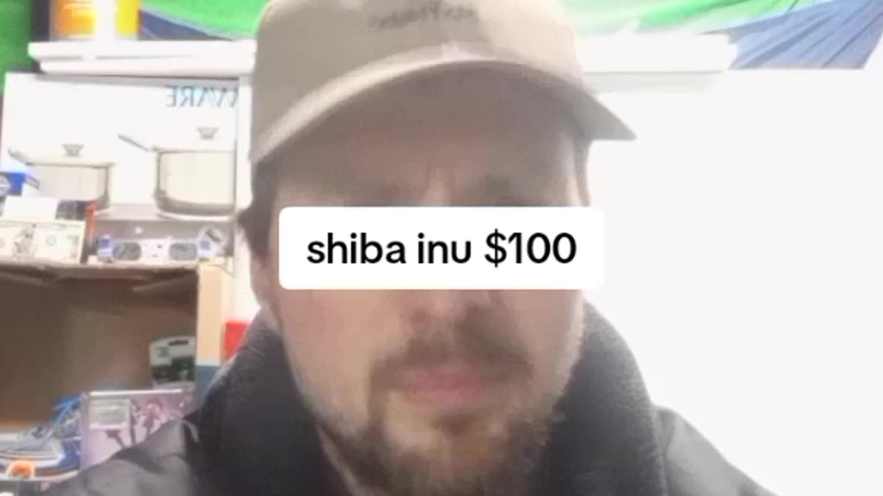 THIS CRYPTO WILL 100X. be ready. subscribe to the best crypto channel