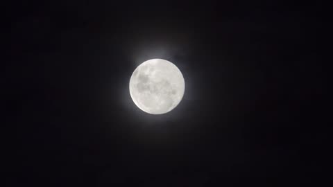 Full Moon HD: Majestic Night Sky Views