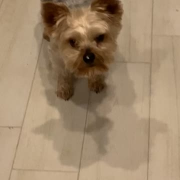 Excuse me sir there is something on your nose