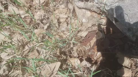 Finding A Dud (EOD Handled It)