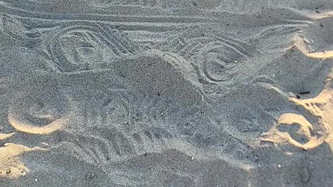 Beach zen art on july 16