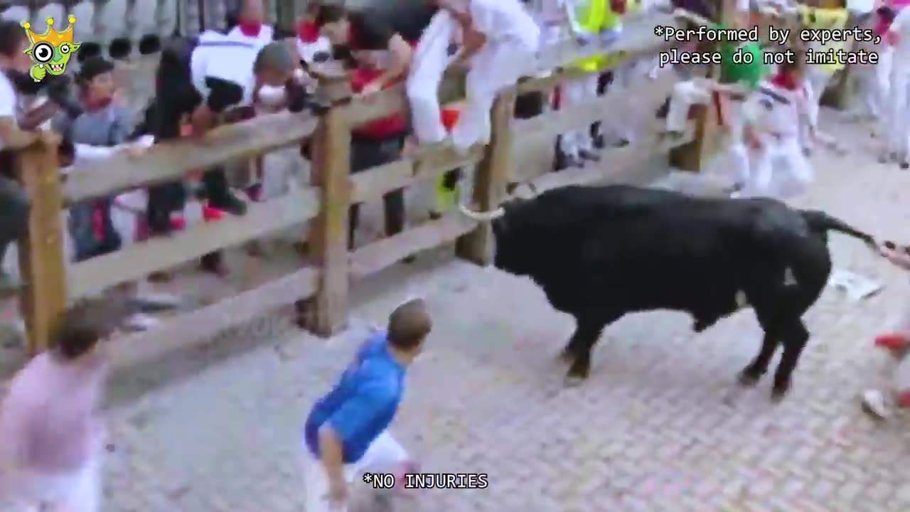 When Animals Go On A Rampage And Got Caught On Camera !