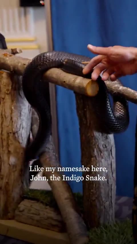 John Podesta and his ilk an endangered species? Let's hope so.