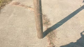 Danuser Hammer driving post through concrete