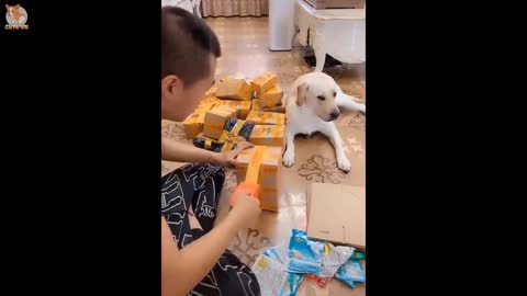 Intelligent animal