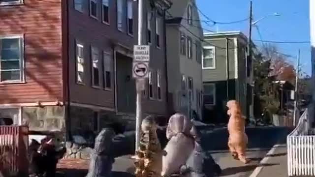 Try Not to Laugh Challenge! Funniest Fails 😂 | Best Funny Pranks & Fails | Funny Videos