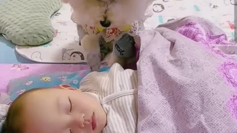 Heart' touching video