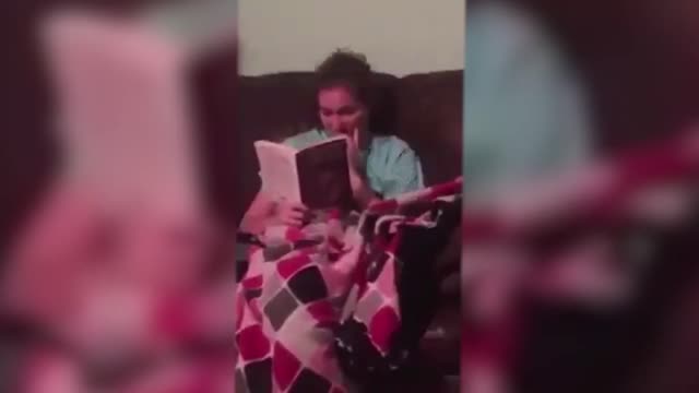 funny cat videos that will make you laugh