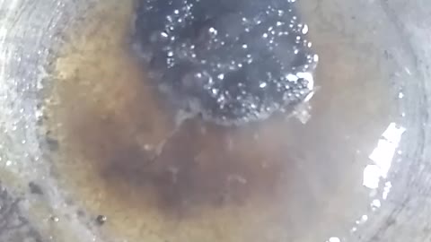 Chemical Reaction