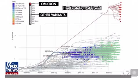 New Evidence Shows Omicron Variant Origins In South Africa Very Different Than Previously Thought