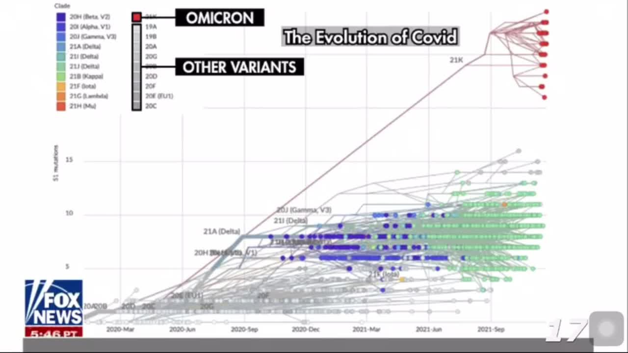 New Evidence Shows Omicron Variant Origins In South Africa Very Different Than Previously Thought