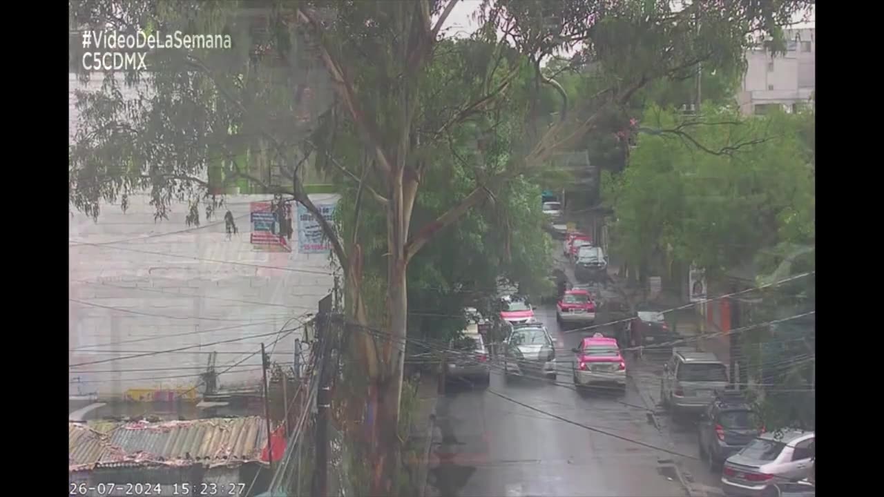 Casos Relevantes de la Semana del 22 al 28 de julio - C5 CDMX #VideoDeLaSemana