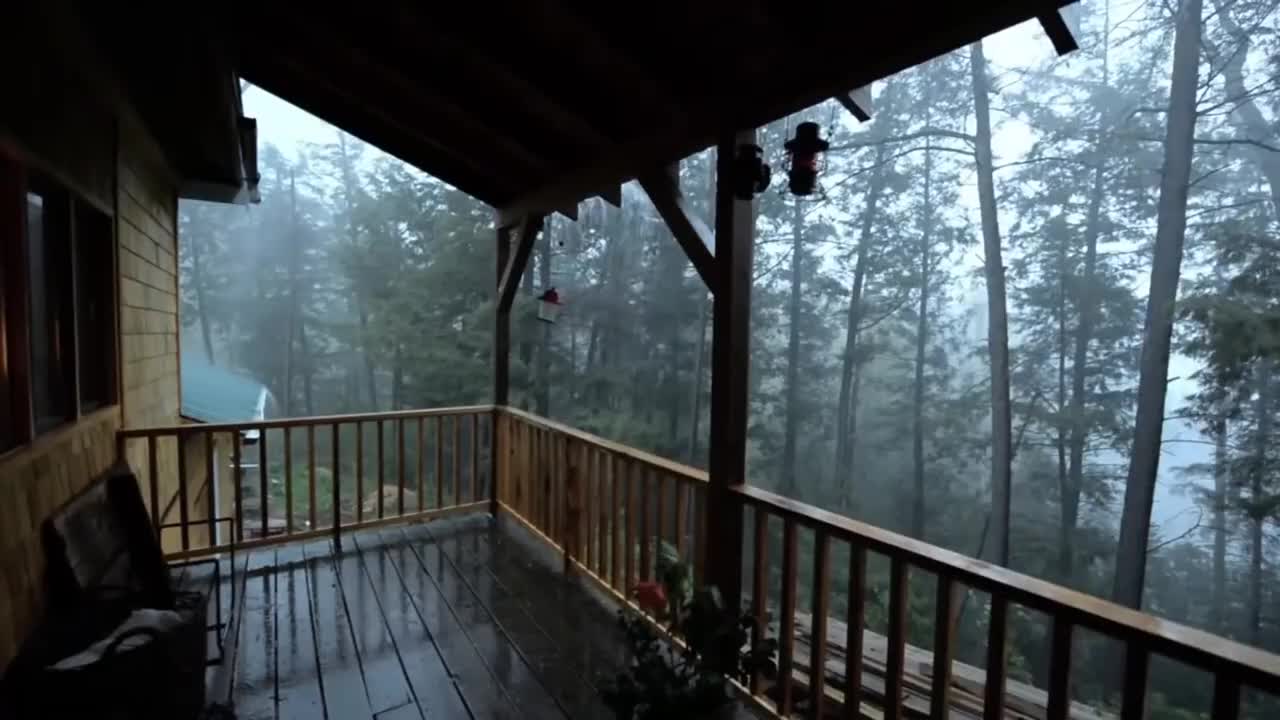 "Rain" 8 hours of "Rain Sounds" Sleep Sounds Relaxing Sounds ASMR
