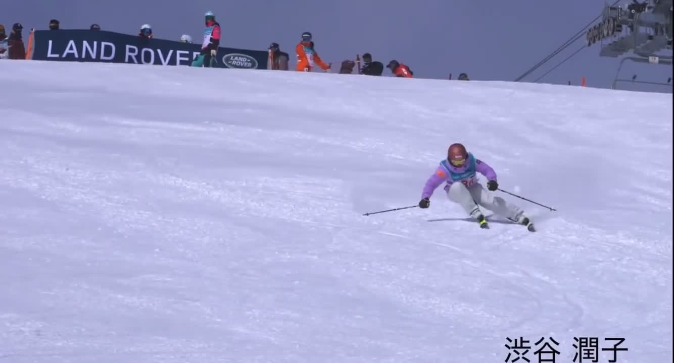 ski