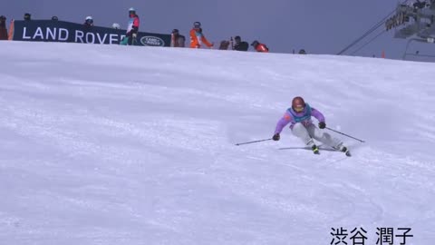 ski