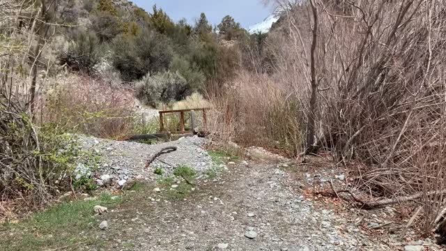Lower Ceder Creek Trial