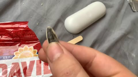 DVid Whopper