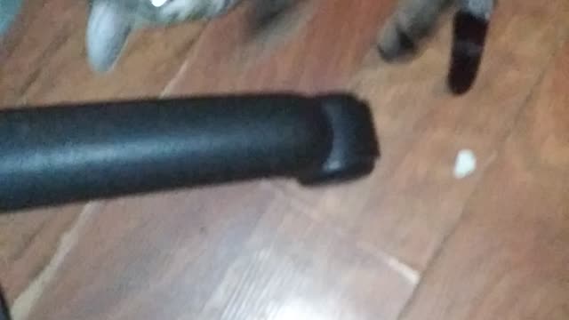 Oliver playing
