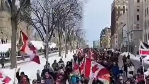 Tamara Lich is deprived by Trudeau of her humane rights