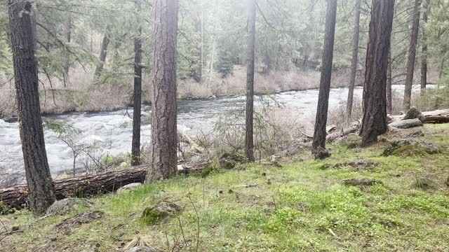 Campsite #4 – 3rd BEST Drive-In Site – Candle Creek Campground – Metolius River – 4K
