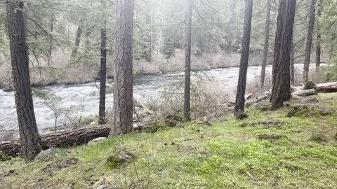 Campsite #4 – 3rd BEST Drive-In Site – Candle Creek Campground – Metolius River – 4K