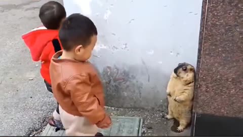 Share interesting videos 6
