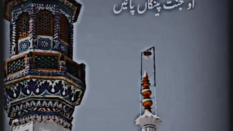 Jerra bulle nu syed akhe❣️❣️