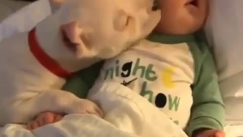 Babie and puppie