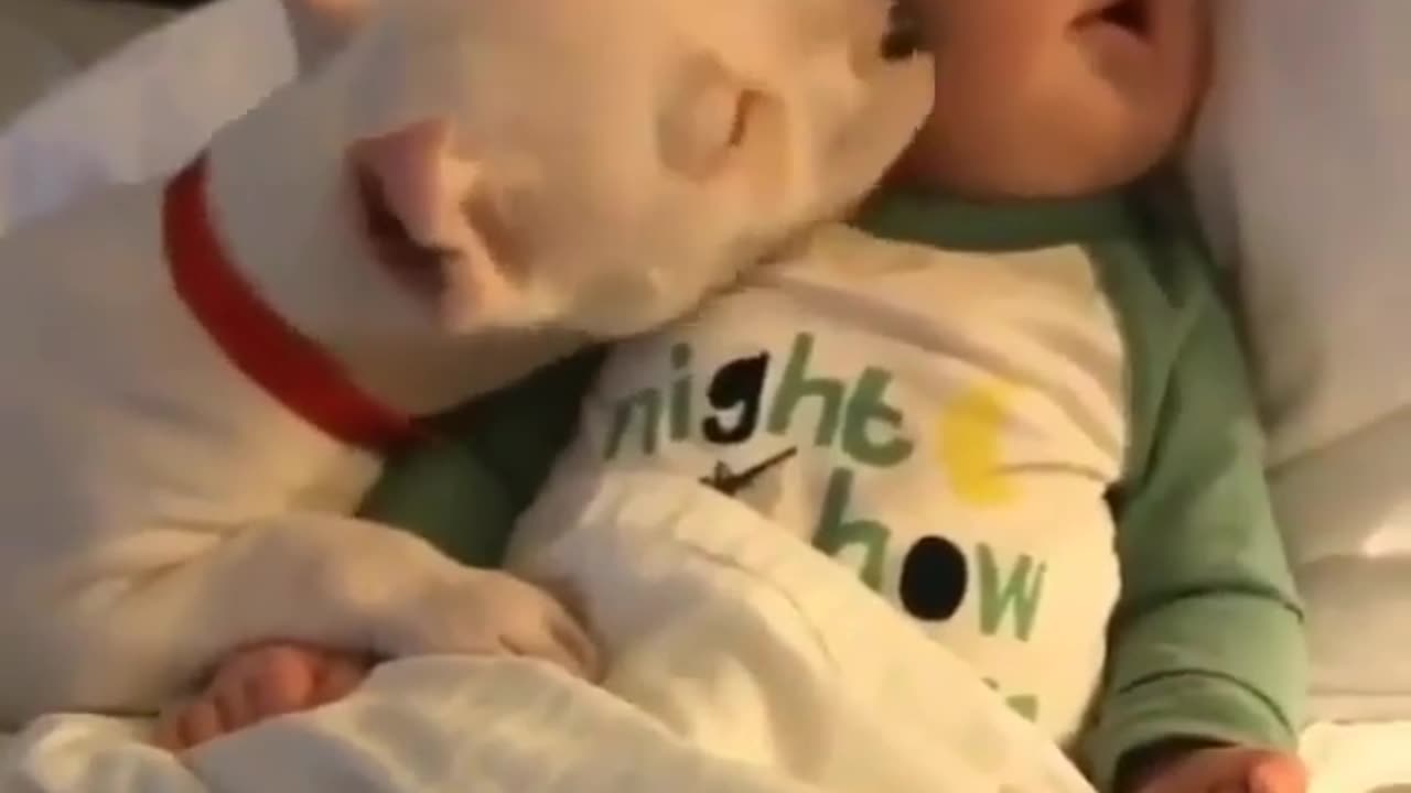 Babie and puppie