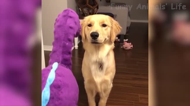 The dog deals with the dinosaur