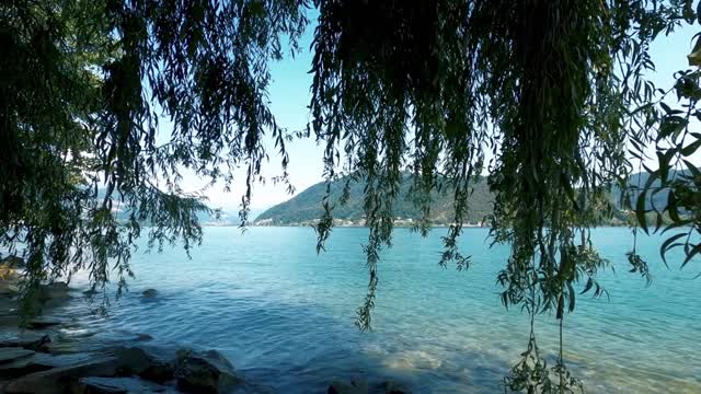 Beautiful Nature 🌿🍃