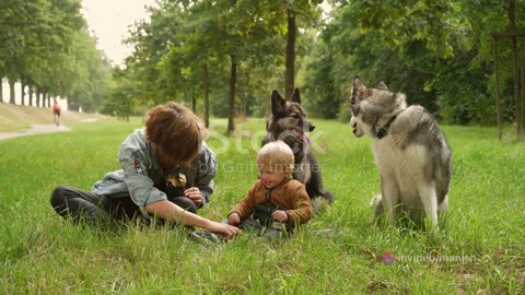 Points 5 Essential Dog Care Tips
