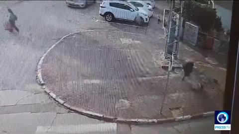 ⛔️ ATTENZIONE IMMAGINI SHOCK 🔻