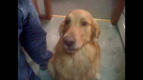 Face Reveal Slideshow (2001-2020)